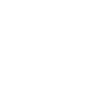 Rice Merchandiser